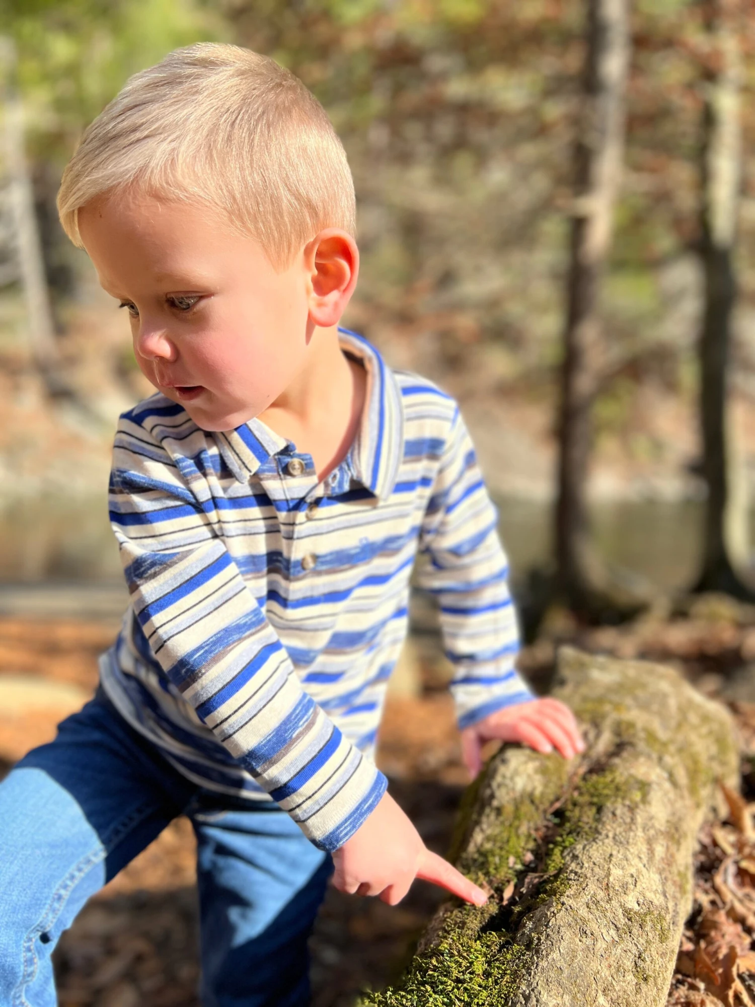 SUMTER Blue/Cream/Brown StripePique Polo 2 SUMTER Blue/Cream/Brown StripePique Polo - Image 2