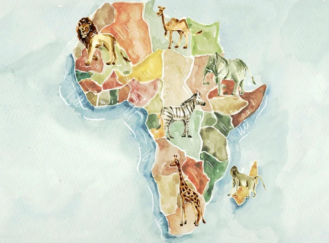 Me & Henry 'Go On Safari' Book 5 Me & Henry 'Go On Safari' Book - Image 5