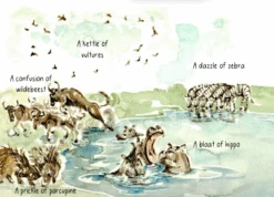 Me & Henry 'Go On Safari' Book 12 Me & Henry 'Go On Safari' Book -Me & Henry Screenshot2024 05 13at22.48.51