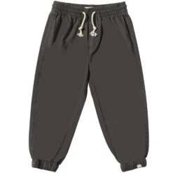 RIPSTOP Charcoal Airforce Pants