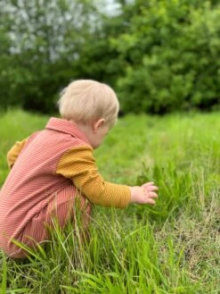 ARLINGTON Pumpkin/Gold Arms Cosy Polo Romper -Me & Henry hb1117b 1