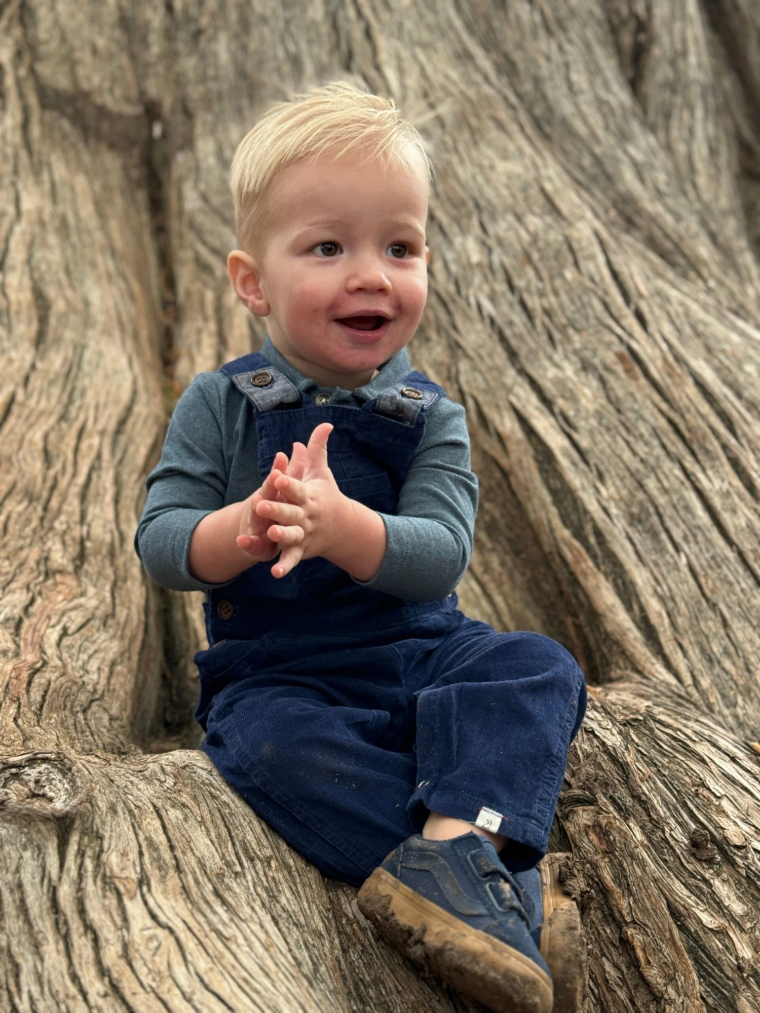 SEYMOUR China Blue Pique Polo Onesie 3 SEYMOUR China Blue Pique Polo Onesie - Image 3