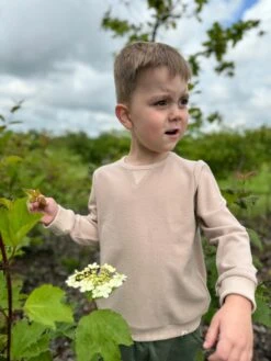 TARQUIN Tan Cosy Sweatshirt -Me & Henry hb1357b 2