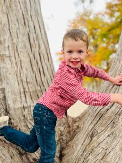 ATWOOD Rust Micro Plaid Woven Shirt 10 ATWOOD Rust Micro Plaid Woven Shirt -Me & Henry hb1393h 5
